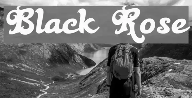 Black Rose Font examples
