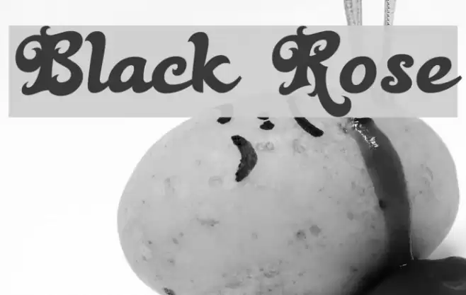 Black Rose Font examples