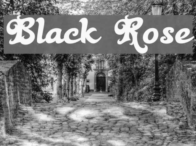 Black Rose Font examples