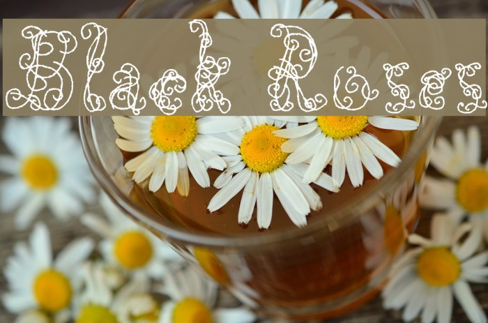 Black Roses Font examples