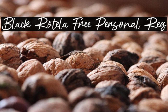 Black Rotela Free Personal Reg Example 1