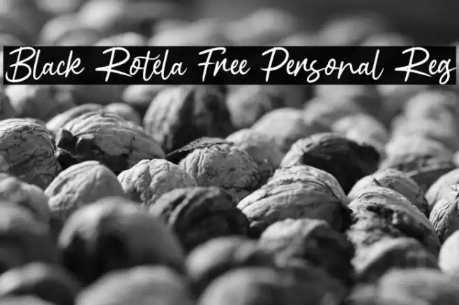 Black Rotela Free Personal Reg Font examples