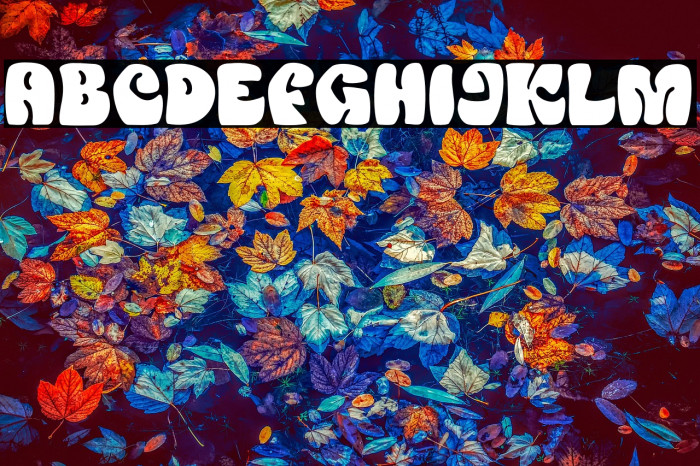 Black Rover For Personal Use On Example 3