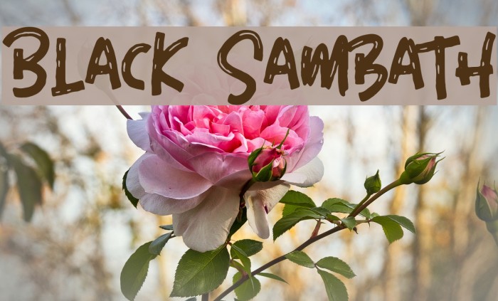 Black Sambath Fonte examples