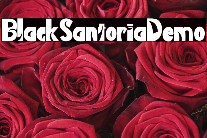 Black Santoria Demo Example 2