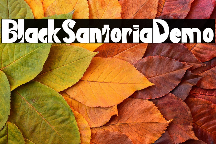 Black Santoria Demo Example 3