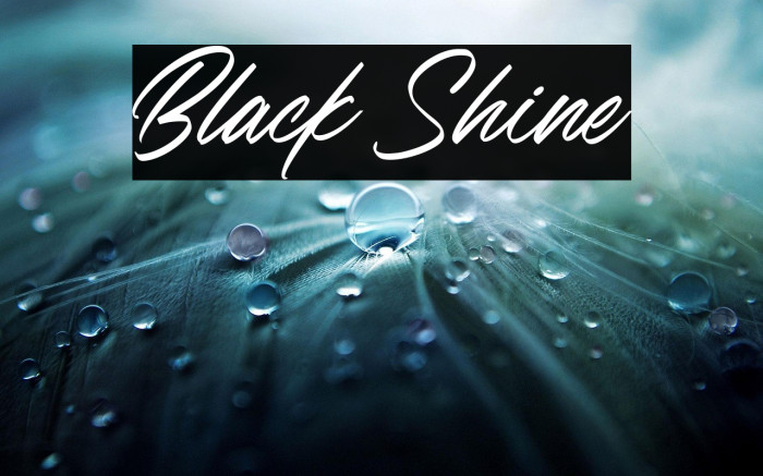Black Shine Example 1