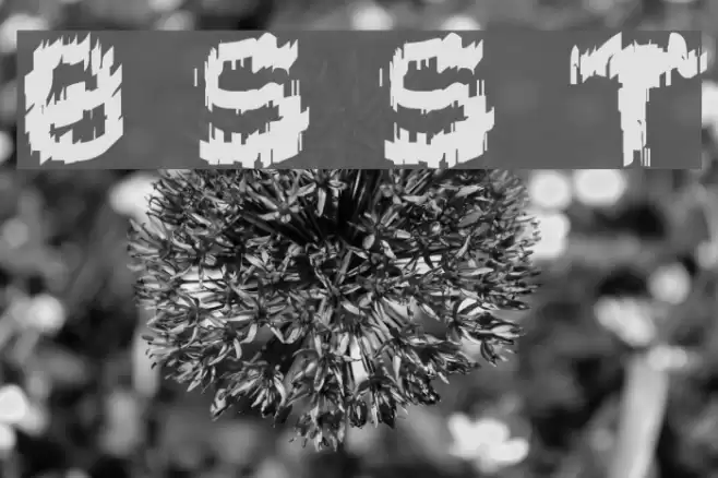 Black Shirt Slime Trail Font examples