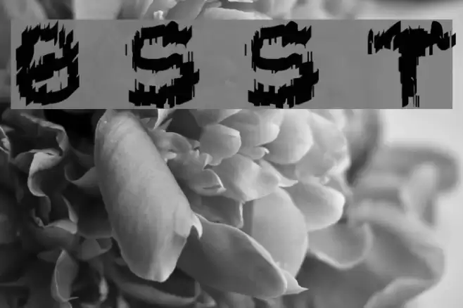 Black Shirt Slime Trail Font examples