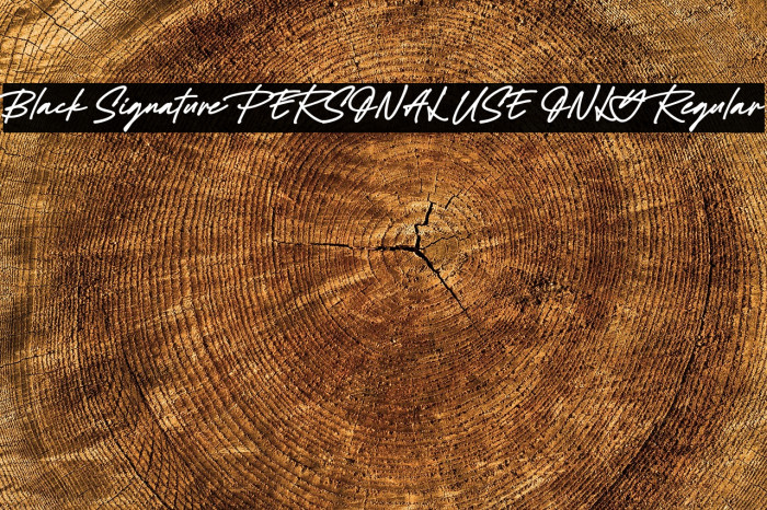 Black Signature PERSONAL USE ONLY Regular Example 2