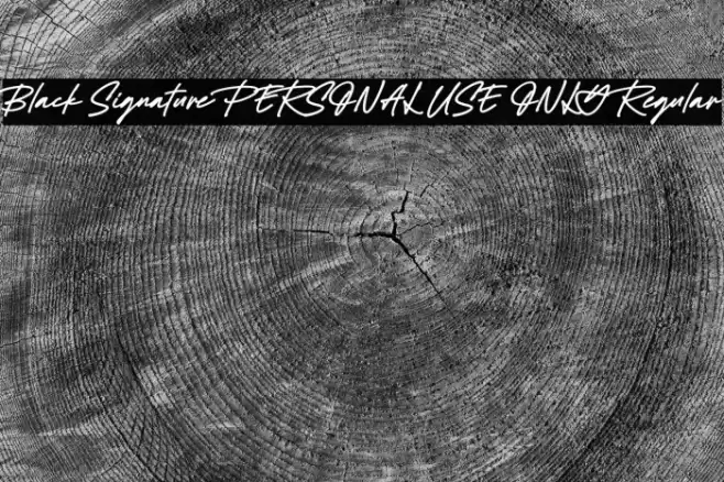 Black Signature PERSONAL USE ONLY Regular Font examples