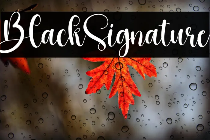 Black Signature Example 1