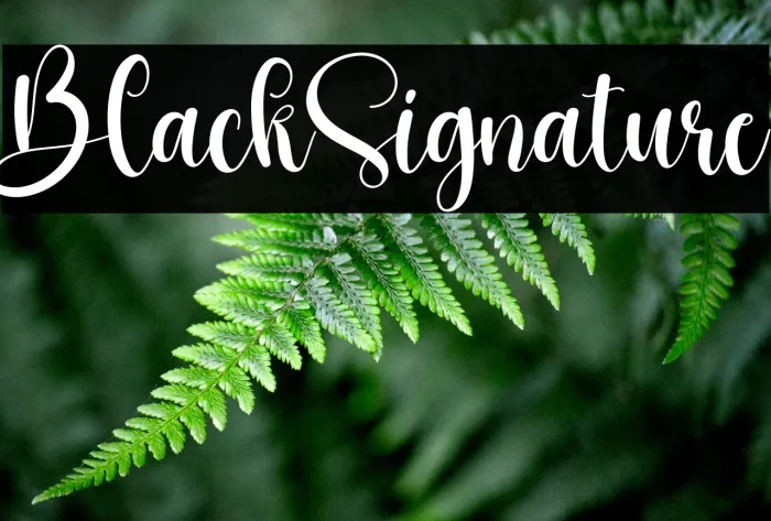 Black Signature Example 3