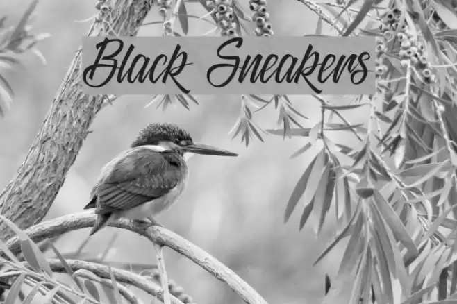 Black Sneakers Font examples