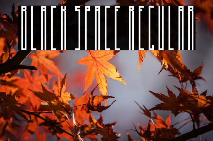 Black Space Regular Example 1