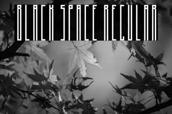 Black Space Regular Font examples