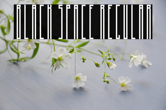 Black Space Regular Example 2