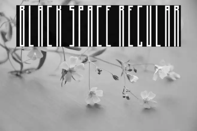 Black Space Regular Font examples