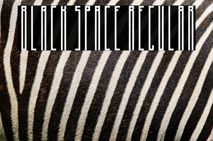 Black Space Regular Example 3