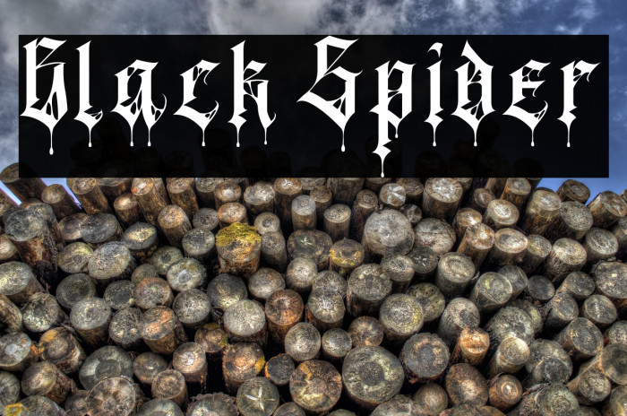 Black Spider Example 1
