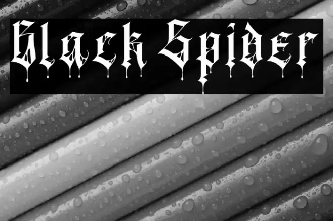 Black Spider Font examples