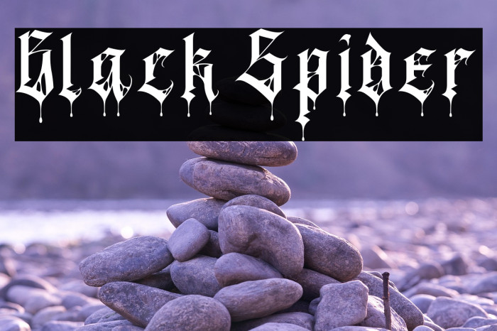 Black Spider Example 3