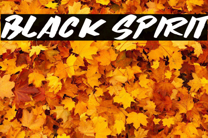 Black Spirit Fonte examples