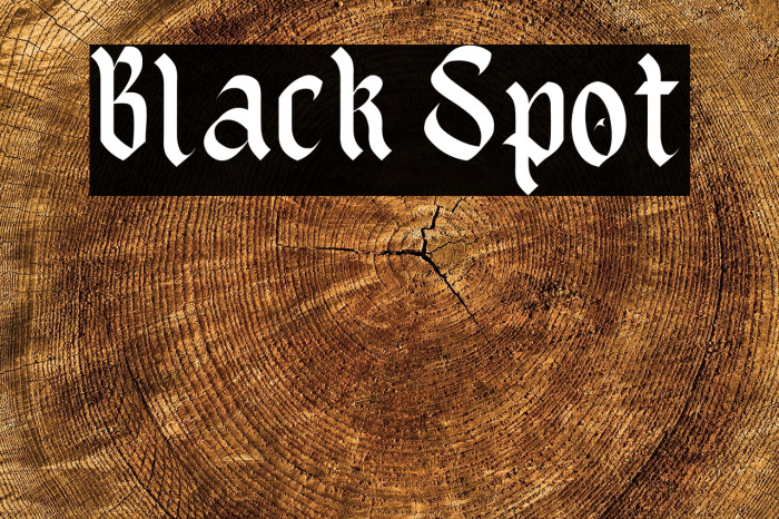 Black Spot Example 3