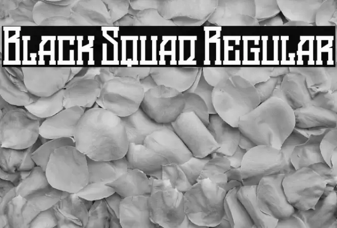Black Squad Regular Font examples
