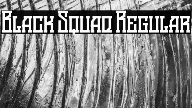 Black Squad Regular Font examples