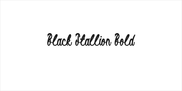 Black Stallion Bold Logo