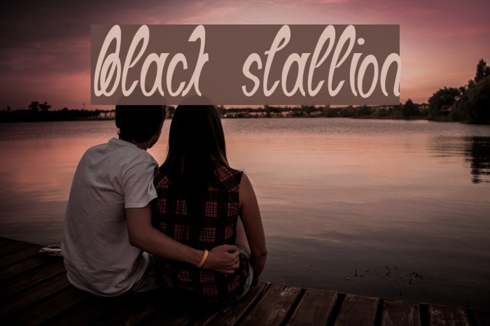 Black Stallion Example 3