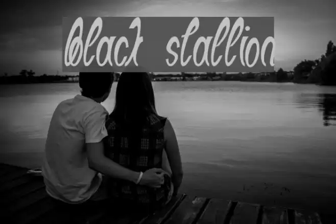 Black Stallion Font examples