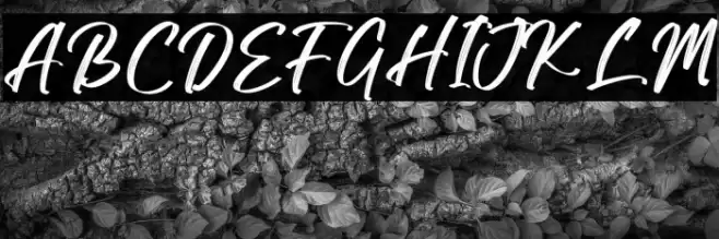 Black Stamp फ़ॉन्ट examples