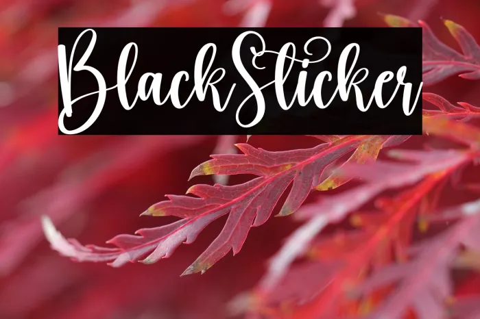 Black Sticker Example 1