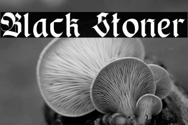 Black Stoner Font examples
