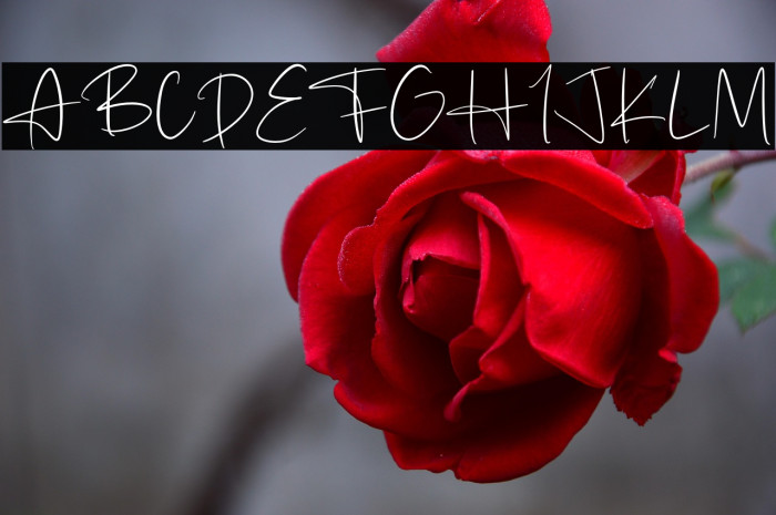 Black Storage Example 1