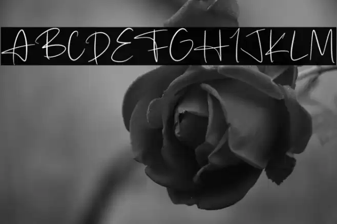 Black Storage Font examples