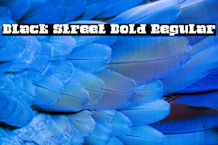 Black Street Bold Regular Example 1