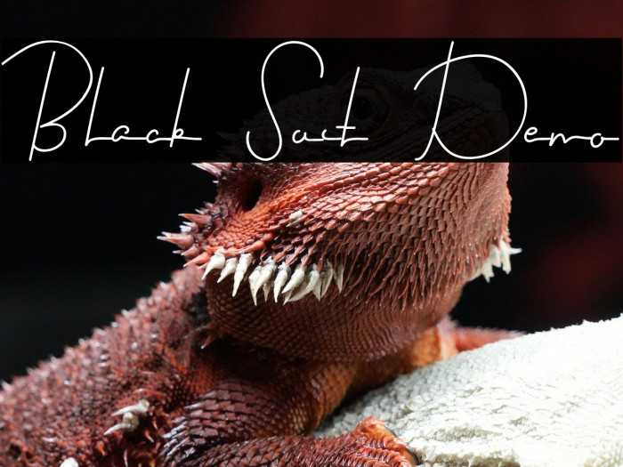 Black Suit Demo Example 2