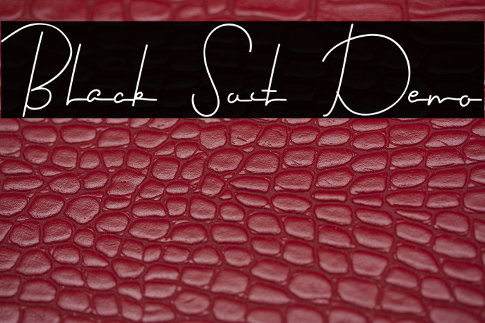 Black Suit Demo Example 3