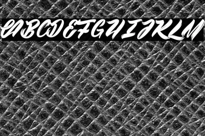 Black Swan 2_PersonalUseOnly Font examples