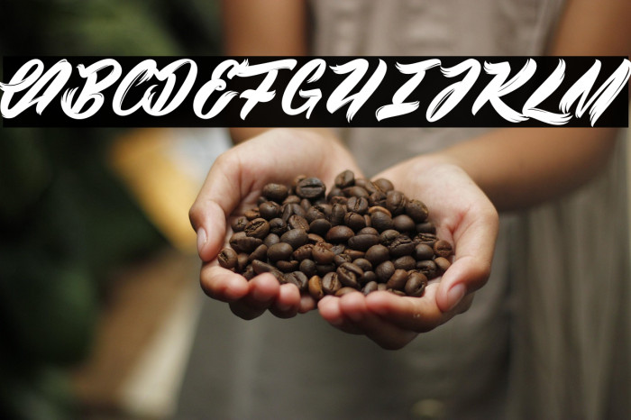 Black Swan_PersonalUseOnly Example 1