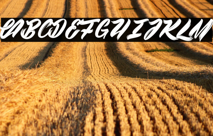 Black Swan_PersonalUseOnly Example 2