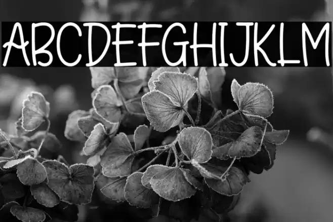 Black Tea Font examples