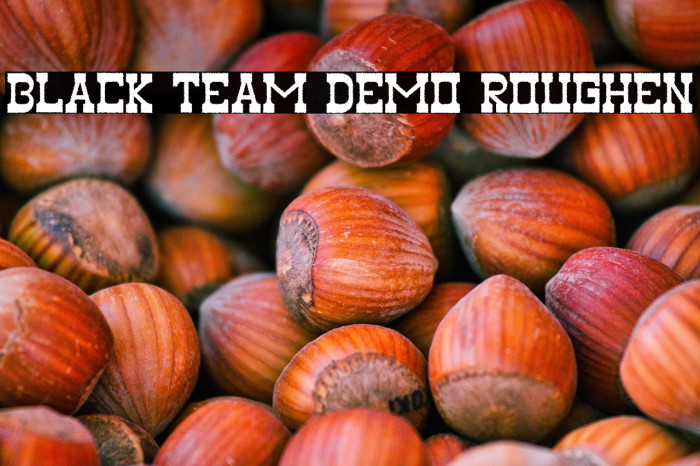 Black Team Demo Roughen Example 2