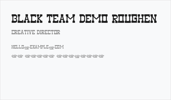 Black Team Demo Roughen Business Card