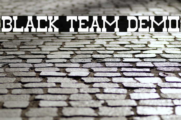 Black Team Demo Example 2