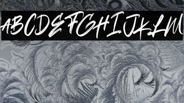 Black Theory Regular Example 2