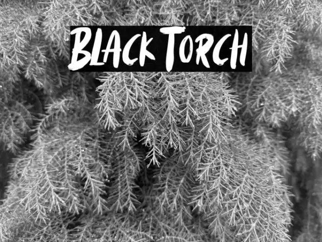 Black Torch Font examples